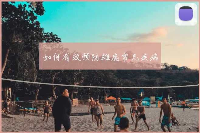 如何有效预防雄鹿常见疾病