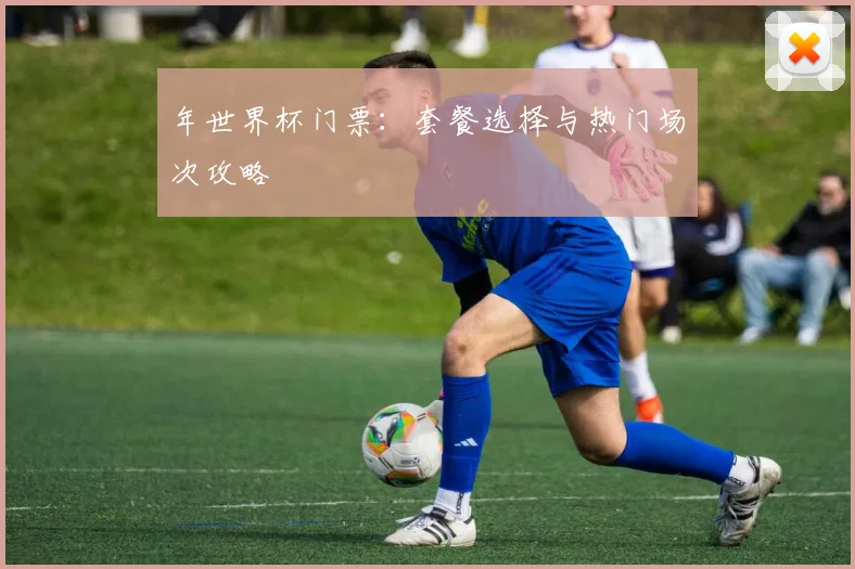 年世界杯门票：套餐选择与热门场次攻略