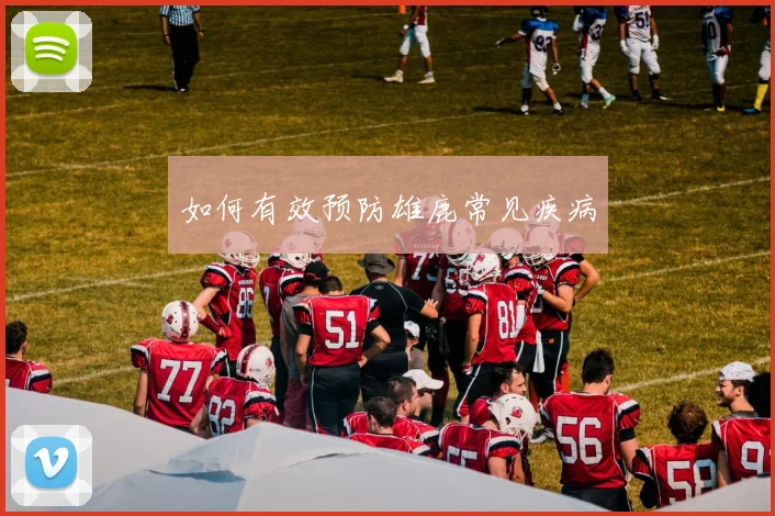 如何有效预防雄鹿常见疾病